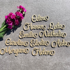 Cartes de mariage, plaques nominatives personnalisées, décorations de table à manger