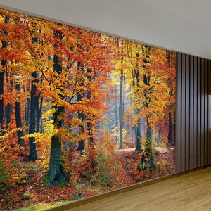 Herbstwald Wandbild Peel n Stick Naturtapete Büro-Tapete Waldtapete Schlafzimmer-Tapete Bäume Tapete Naturkunst-Wandbild