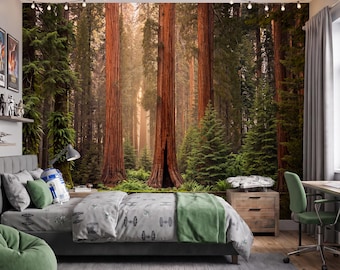 Giant Redwood Forest Wallpaper Mural Sequoia Tree Nature Wall Decor for Bedroom, Peel and Stick or Non-woven Nature Wallpaper