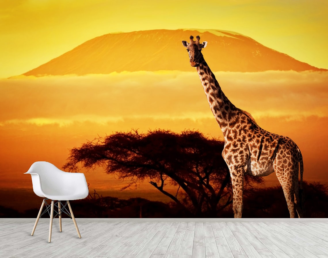 Giraffe Wall Mural African Sunset Wallpaper Peel And Stick Etsy