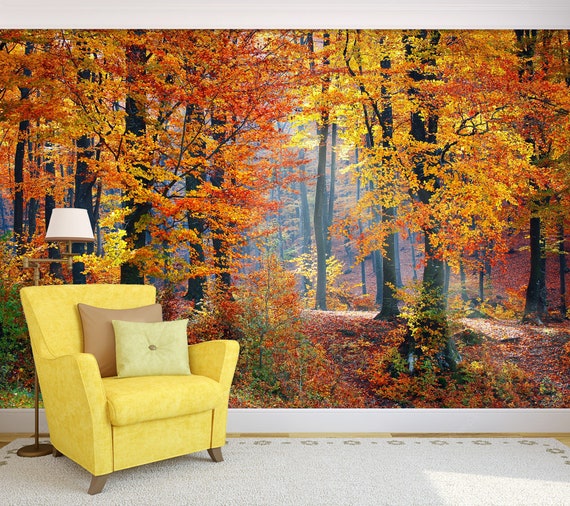  Murales de pared 5D de bosques, papel tapiz de bosque de  naturaleza, árboles de niebla 3D, mural de pared de bosque para fondo,  dormitorio, TV, murales de pared 3D : Herramientas