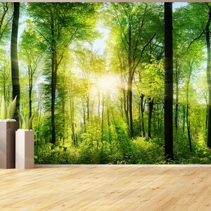 Splendido murale da parete con foresta verde e soleggiata, carta da parati in vinile staccabile e attaccabile, decorazione da parete moderna per soggiorno, sfondo murale