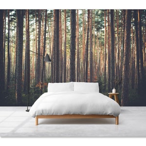 Inside Forest Wall Mural Peel and Stick Pine Tree Forest Wallpaper Wild Forest Photomural Scenic Forest Landscape Wallpaper Woodland Murals