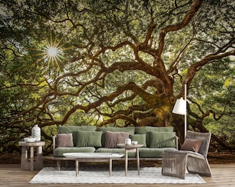 Mural de parede com floresta de árvores antigas – Papel de parede com natureza iluminada pelo sol para sala de estar, decoração botânica ampla de bosque.