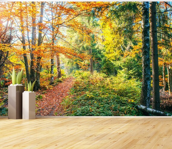 Custom Size Wall Murals,Colorful Graffiti,Removable Peel And Stick Self - View #8