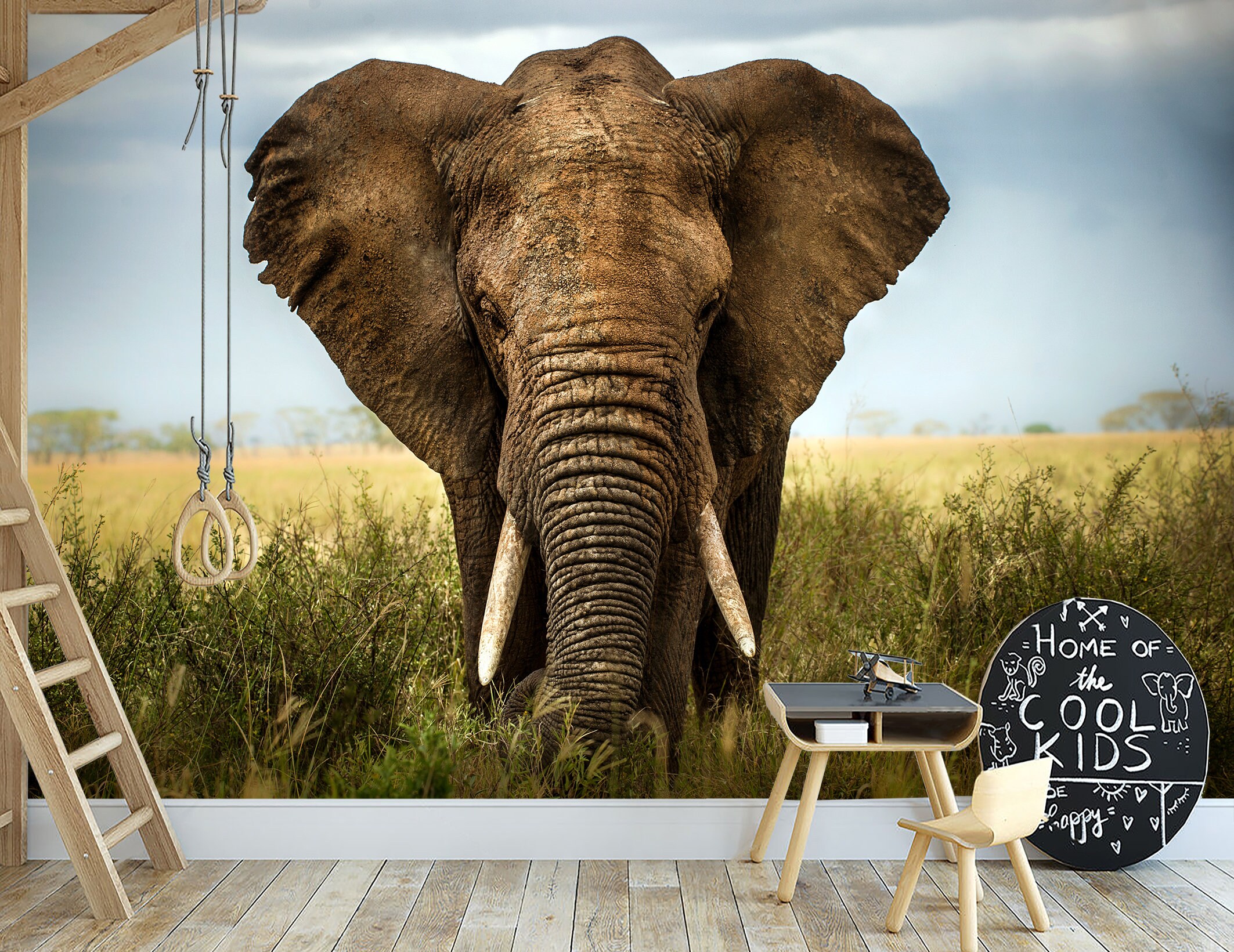 Big Elephant Wallpaper Peel and Stick Wall Mural | Etsy