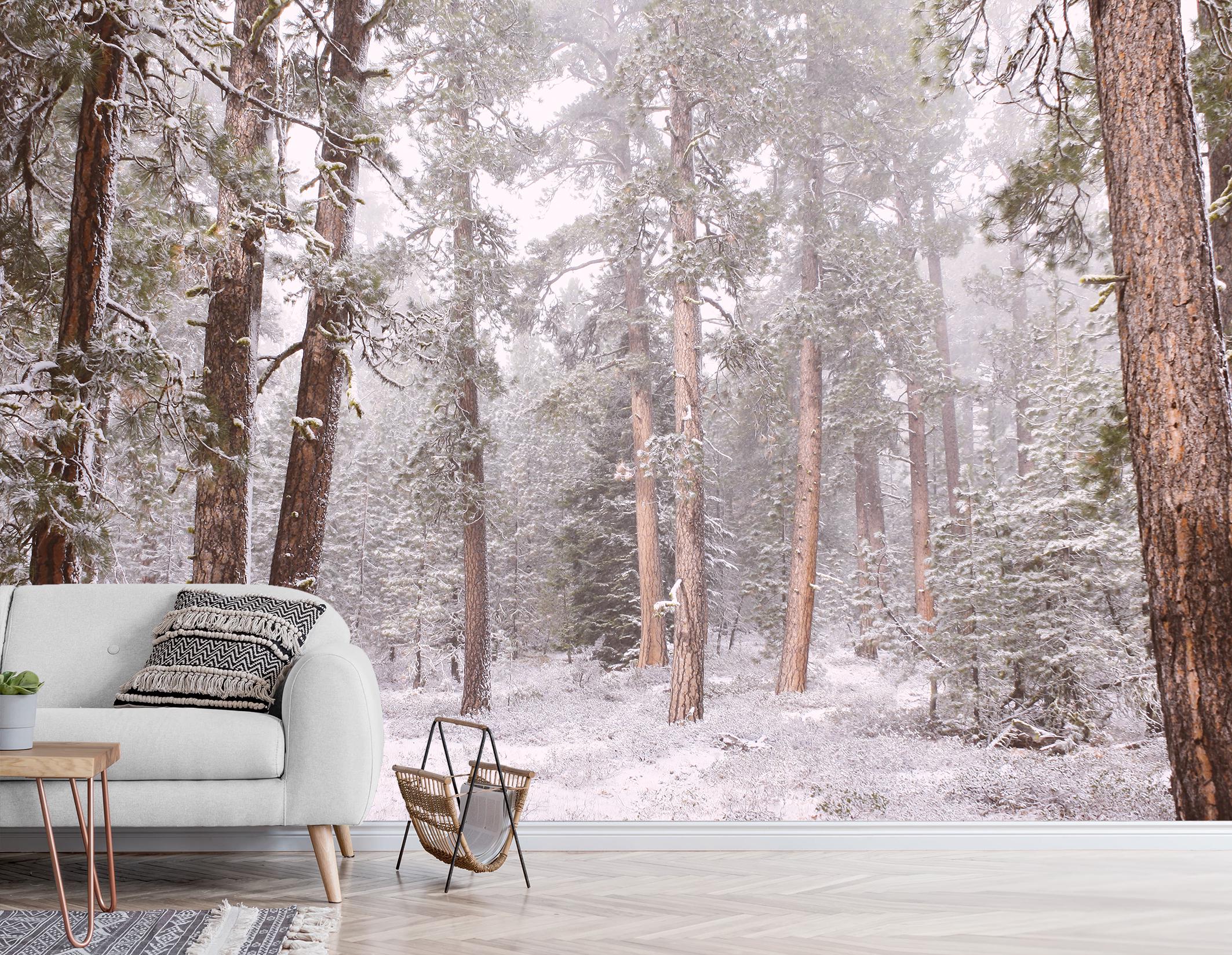 Winter Snowy Forest Scenic Mural Wallpaper Landscape Wallpaper Bedroom  Living Room Wall Mural Forest Photo Wallpaper Snow Forest Wallpaper - Etsy, image size:2126x1649