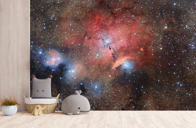 Space Galaxy Wall Mural Stars Wallpaper Wall Murals Etsy