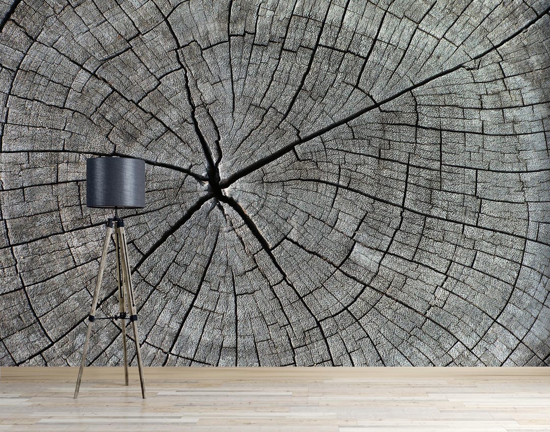 Tree Stump Rings Mural Tree Rings Eco Loft Wallpaper Wood Background Peel and Stick Wall Mural ...