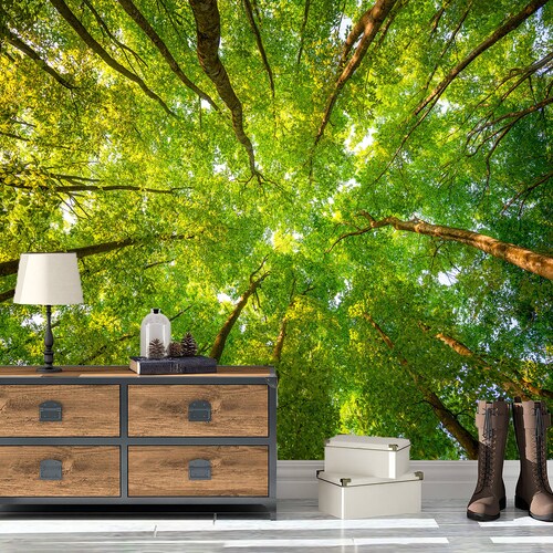 3D Green Tree D081 Ceiling Wallpaper Removable Self Adhesive Etsy