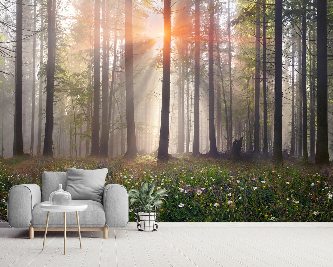 Morning Misty Forest Wall Mural Wallpaper Peel and Stick or Traditional ...