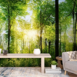 Könnte beinhalten: Eine Wandtapete mit einem sonnendurchfluteten Wald, hohen grünen Bäumen und hellen Lichtstrahlen. Auf einem hellen Holztisch stehen drei Topfpflanzen, darunter ein Bogenhanf. Rechts steht ein grauer Sessel mit einem gemusterten Kissen.