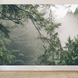 Pode incluir: Uma cena de floresta nebulosa com &aacute;rvores altas de folha perene e nevoeiro. As &aacute;rvores s&atilde;o de um verde profundo e o nevoeiro &eacute; de um cinza claro. A cena &eacute; pac&iacute;fica e serena.
