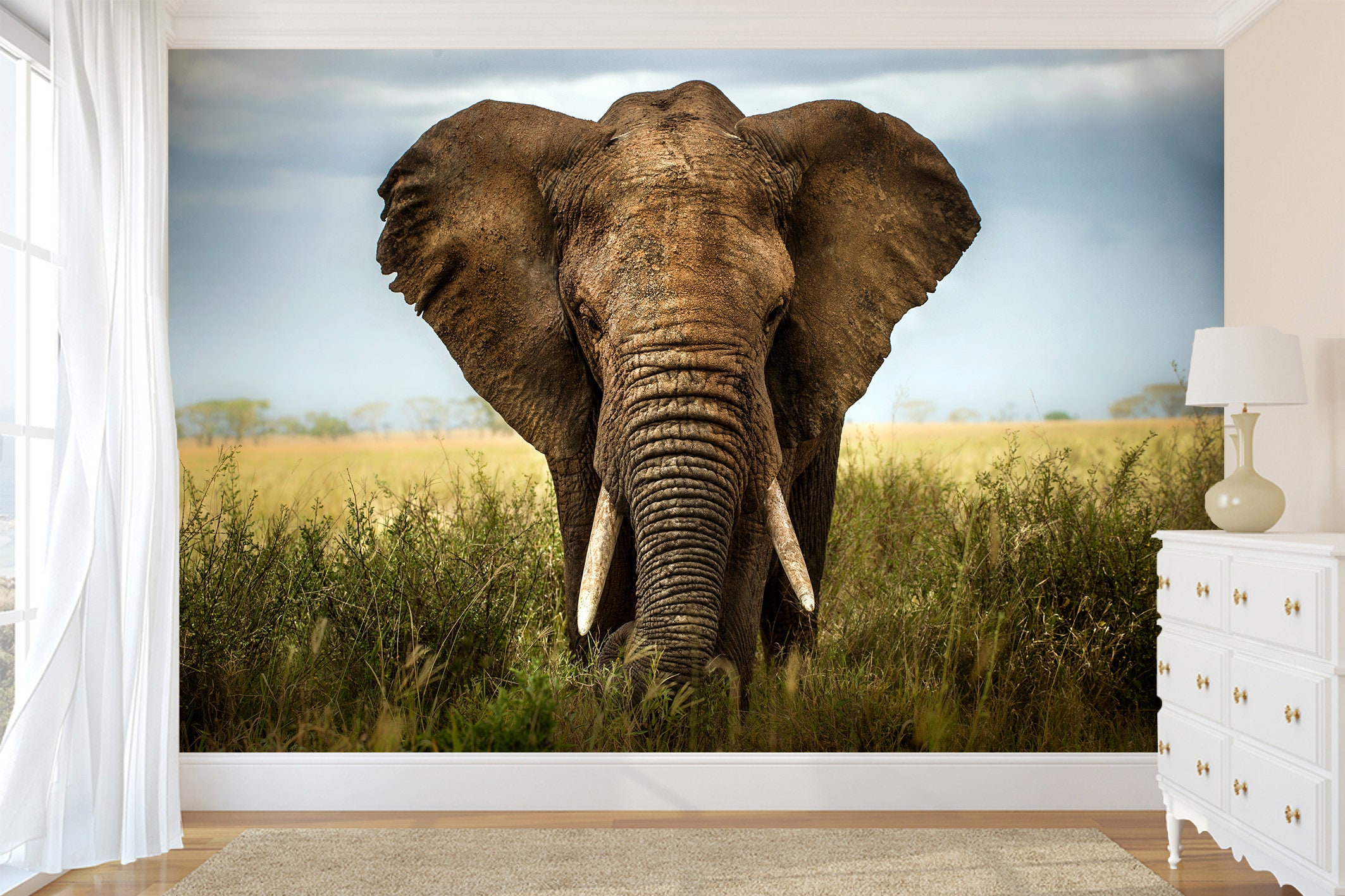 Big Elephant Wallpaper Peel and Stick Wall Mural | Etsy