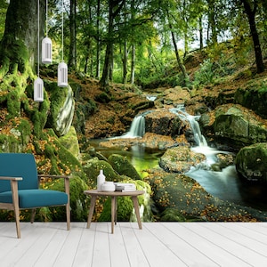 Forest Stream Waterfall Mural, Peel and Stick Photo Wallpaper - Etsy