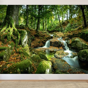Forest Stream Waterfall Mural, Peel and Stick Photo Wallpaper - Etsy