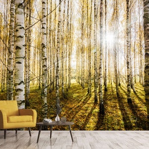 Alexsix Birch Tree Wallpaper Modern Decor Wall Paper Roll Forest Wood  Wallpapers for Bedroom Living Room