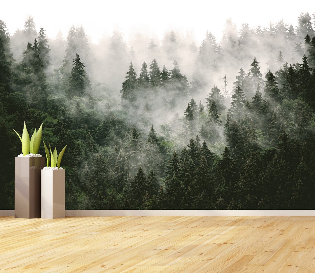 Foggy Forest Wallpaper Misty Pine Forest Scenic Wall Mural Nature Wall ...