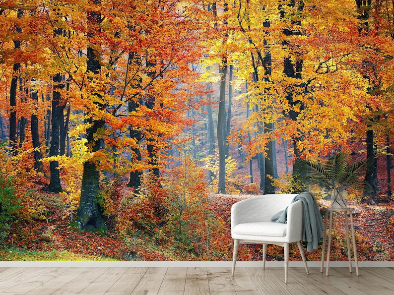 Autumn Forest Wall Mural Peel N Stick Nature Wallpaper Office - Etsy
