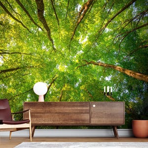 May include: A mural showcasing a forest canopy with vibrant green leaves and sunlight filtering through the branches. A mid-century modern wooden cabinet and a burgundy leather chair are in the foreground, creating a natural interior design.