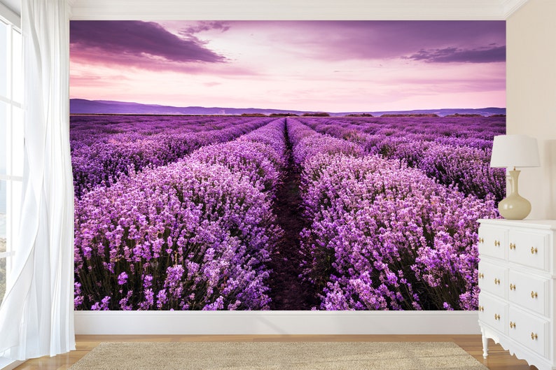 Lavender Wall Mural Peel and Stick Provence Wallpaper Floral Etsy
