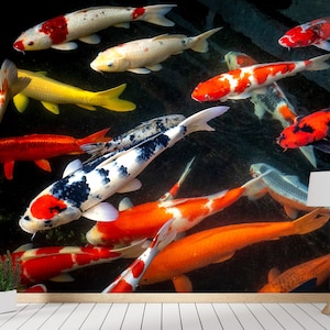 Op de afbeelding: Een groep kleurrijke koi-karpers zwemmen in een vijver. De vissen zijn oranje, rood, wit en zwart. De vijver is omgeven door donkergroene planten.