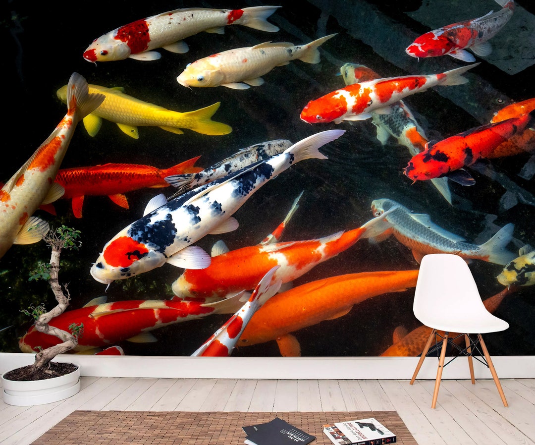 Koi Fish Wall Mural Koi Fish Wallpaper Peel and Stick Koi Fish Wall Art