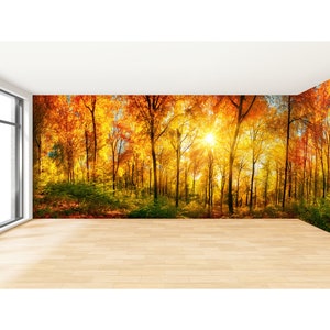 Carta da parati panoramica della foresta autunnale, carta da parati fotografica staccabile e adesiva, carta da parati a parete larga della foresta autunnale, carta da parati panoramica degli alberi, murale della foresta arancione