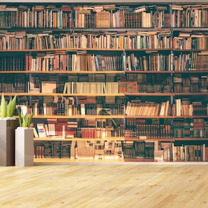 Bookshelfs Mural Reading Room Wallpaper Books Library Wall Mural Old Library Peel and Stick Vinyl Wallpaper Office Study Room Library Decor image 8