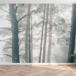 Papier peint forêt brumeuse arbre papier peint paysage pittoresque chambre salon papier peint forêt arbres papier peint forêt brumeuse papier peint