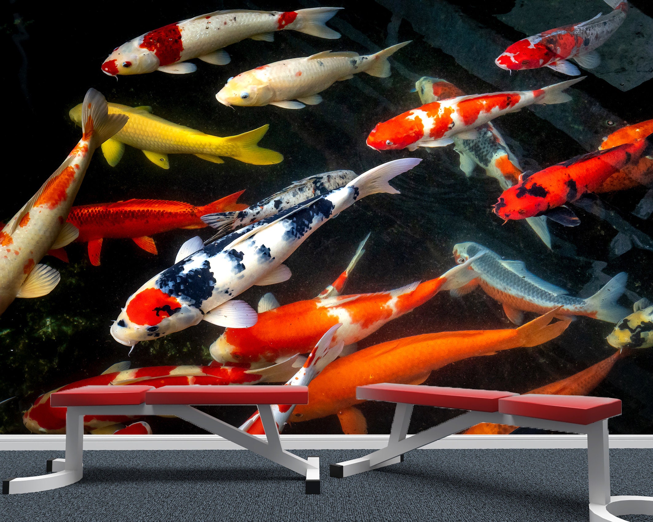 Koi Fish Mural Wallpaper Peel and Stick Japanese Art Zen Wall Art