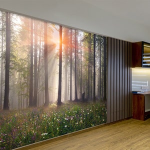 Morning Misty Forest Wall Mural Wallpaper Peel and Stick or Traditional ...