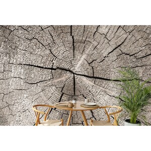 Tree Stump Rings Mural Wall Mural Beige Tree Stump Wallpaper Wood Background Peel and Stick ...