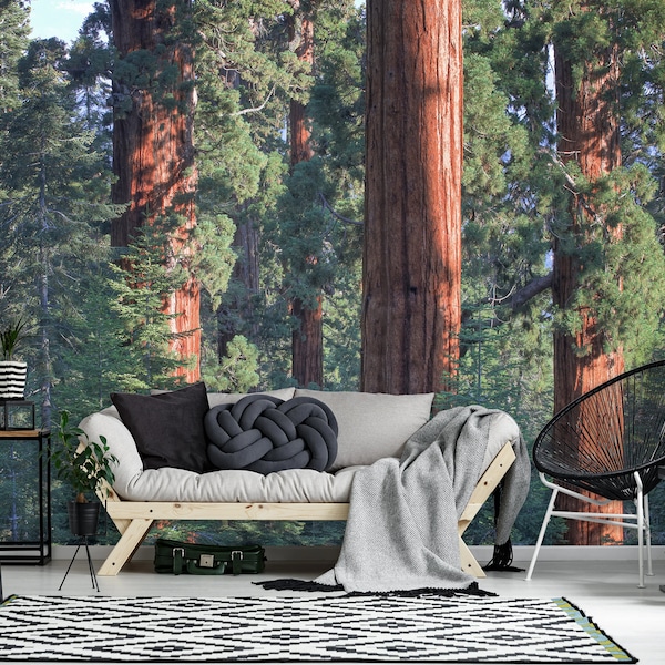 Sunny Forest Trees Wall Mural Wallpaper Peel and Stick Sequoia National Park Wall Art Bedroom Living Room Woodland Nature Wall Decor Print