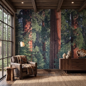 Redwood Forest Trees Wall Mural Wallpaper Peel and Stick Sequoia National Park Wall Art Bedroom Living Room Woodland Nature Wall Decor Print