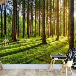 Carta da parati estiva con foresta, stacca e attacca, erba verde panoramica, alberi, tramonto nel bosco, carta da parati foresta, carta da parati verde foresta