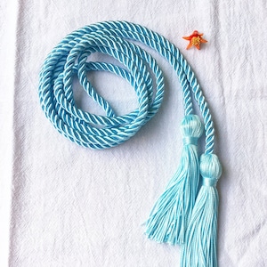 10 Colors Available Graduation Honor Cord 2025, 10 Colors (Light Blue/Gold/White/Red/Black/Green/Pink..)