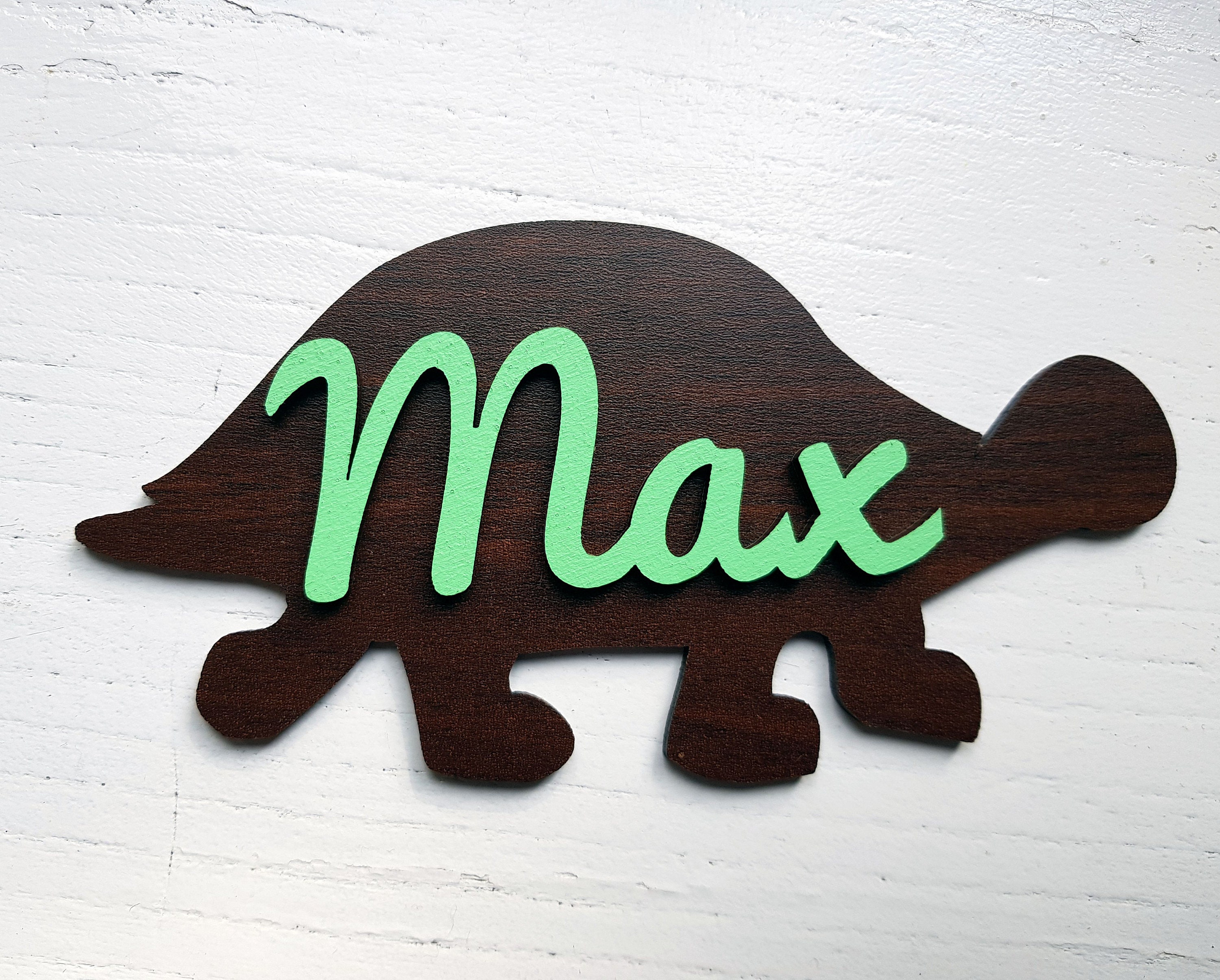 Personalized wooden plaque tortoise  shape pet name sign colors and sizes