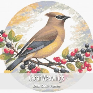 Op de afbeelding: Een rond kruissteekpatroon met een beige en bruine cederpestvogel op een tak met groene bladeren, rode bessen en donkerblauwe bessen. De tekst Cedar Waxwings Cross Stitch Pattern staat onderaan de afbeelding weergegeven.