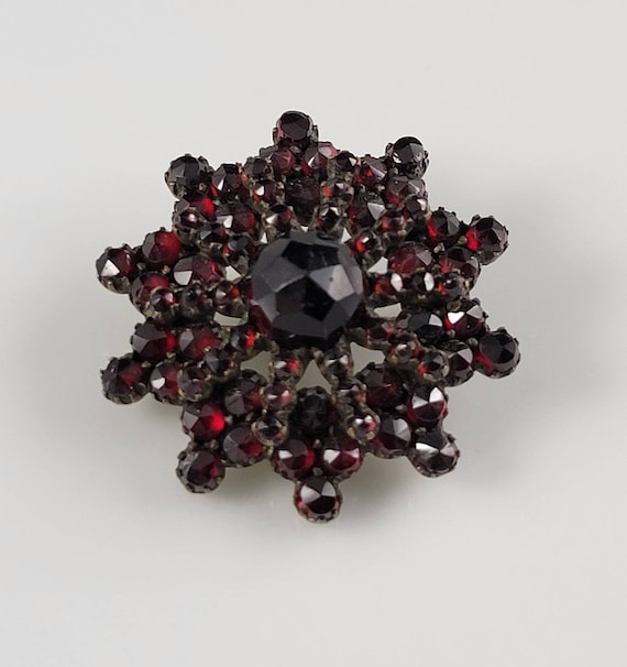 Enchanting Bohemian Garnet Brooch-Circa 1890s