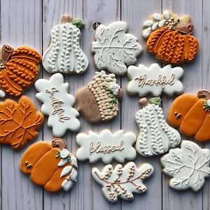 Pumpkin cookies set