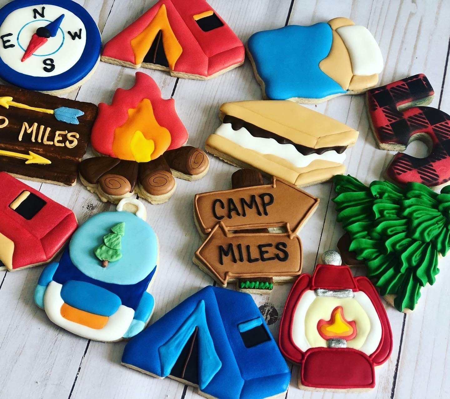 Camping Party Theme Cookies | Etsy