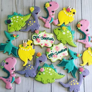 Dinosaur Girl theme set cookies