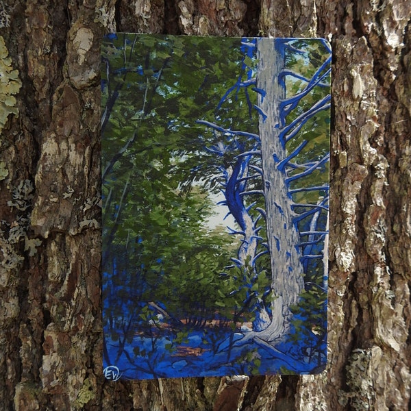White Pine Gouache Painting Postcard (4"x6" Postcard Print)