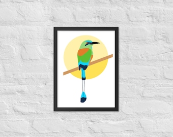 Poster con stampa di Motmot dalle sopracciglia turchesi - Poster di uccelli tropicali
