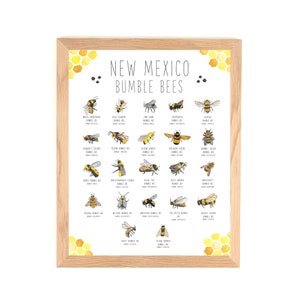 New Mexico Bumble Bees Poster- Watercolor print- Bee Keeper Gifts- Insect and Wildlife Art- Species Chart