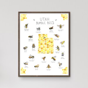 Utah Bumble Bees - Watercolor Poster Print - Species Chart