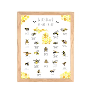 Michigan Hummel Biene Art Poster - Wildlife Poster Print
