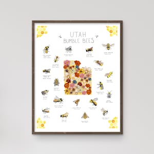 Utah Bumble Bees Poster - Wildflowers - Watercolor Print - Utah Art - Bee Keeper Gifts - Species Chart