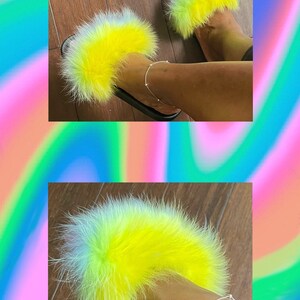 Rainbow Slides